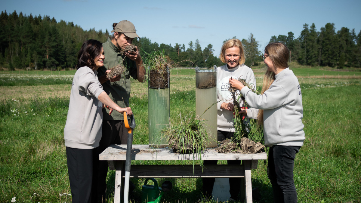 Saara, Juuso, Pieta ja Laura tutkivat maaperänäytteitä koeasetelmalla Qvidjassa.