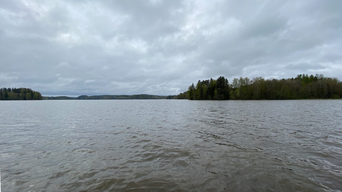 Järvimaisema, jossa näkyy metsäistä rantaa.