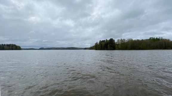 Järvimaisema, jossa näkyy metsäistä rantaa.