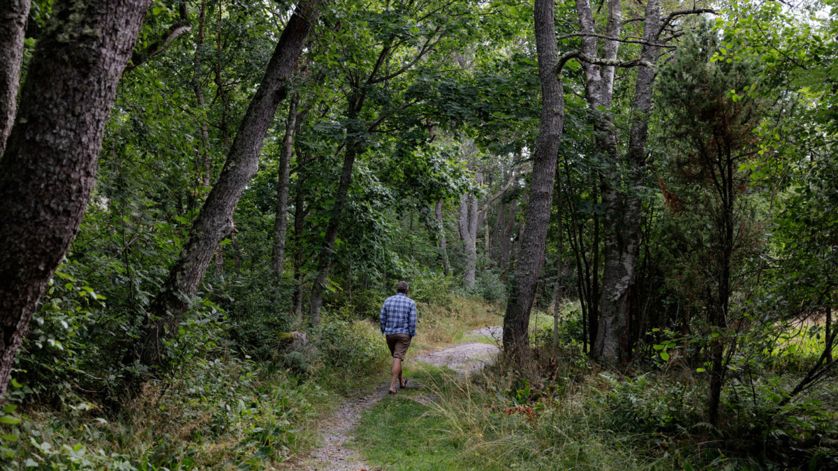 Professori Alf Norkko kävelee metsäpolkua pitkin Tvärminnessä