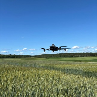 Drönare ovanför ett spannmålsfält