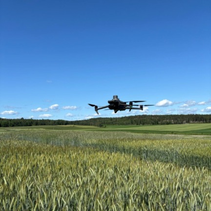 Drönare ovanför ett spannmålsfält